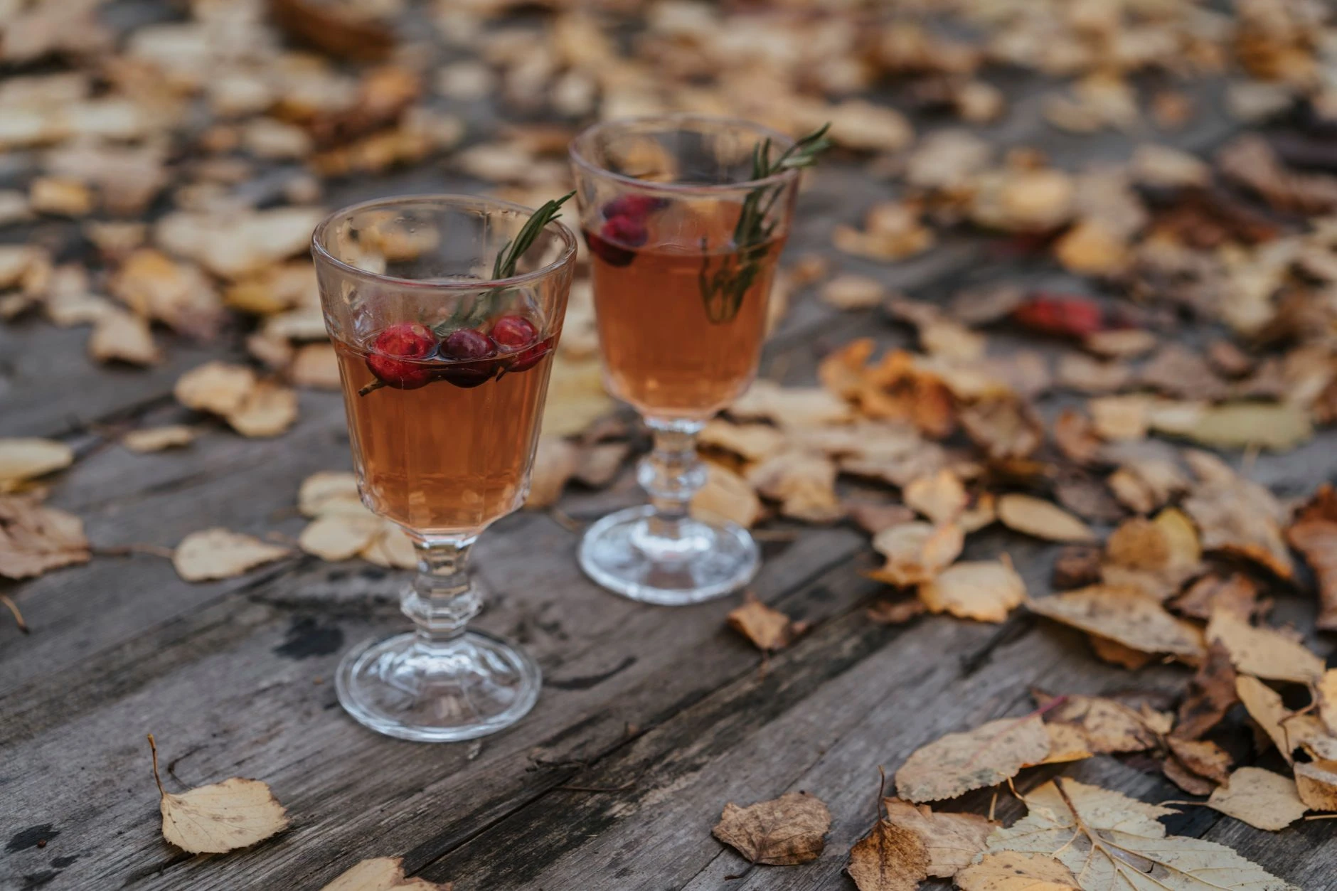 Cranberry Punch
