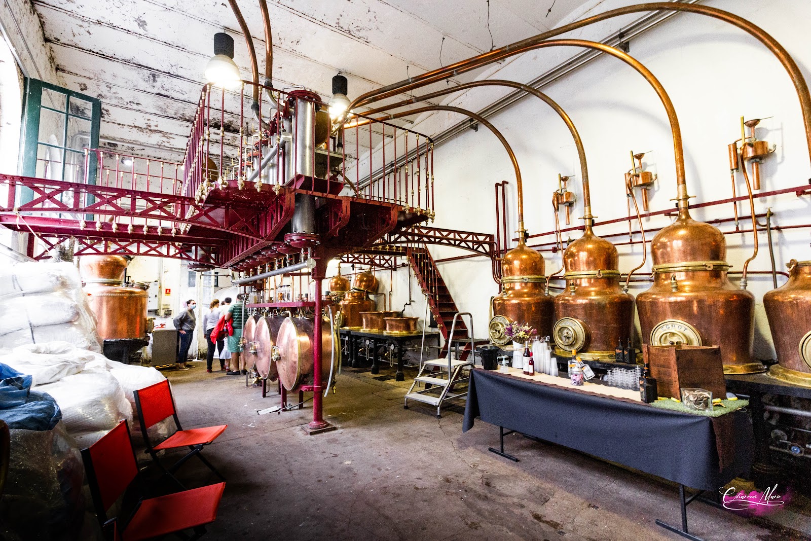 Distillerie Combier photo 3