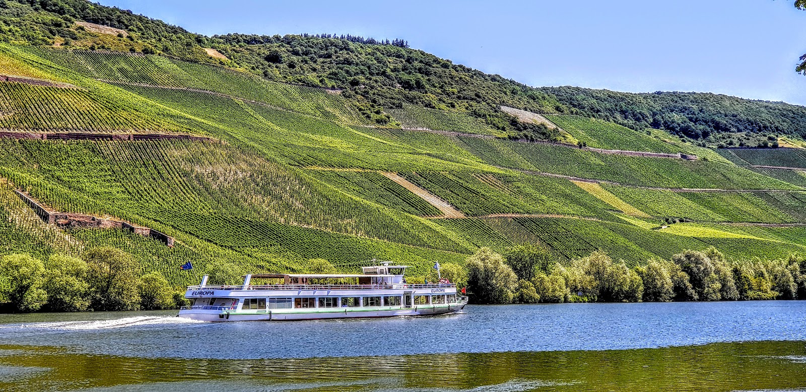 Weingut Joh. Jos. Prüm photo 3