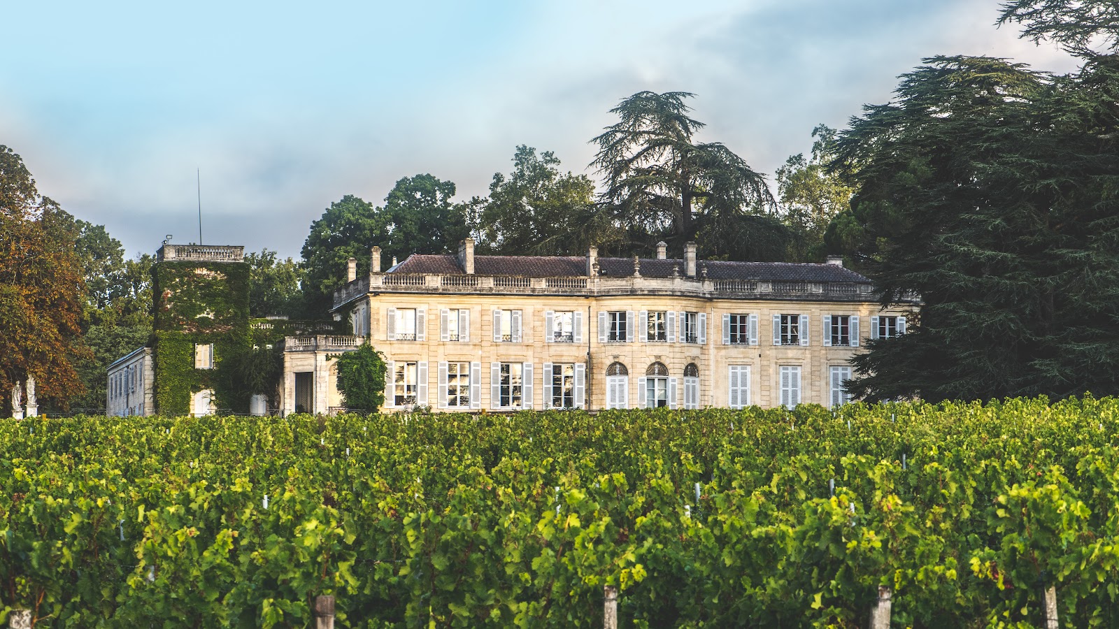 Château du Taillan photo 3