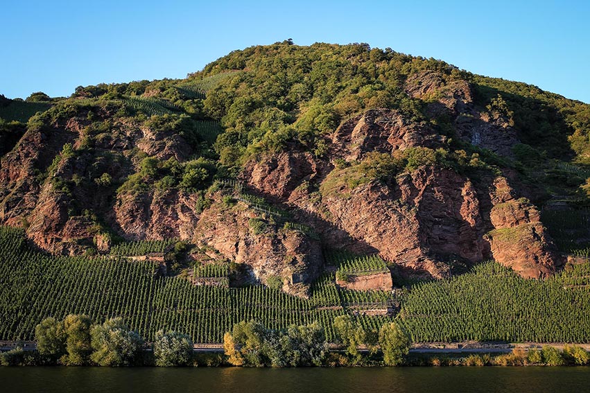 Weingut Dr. Loosen photo 1
