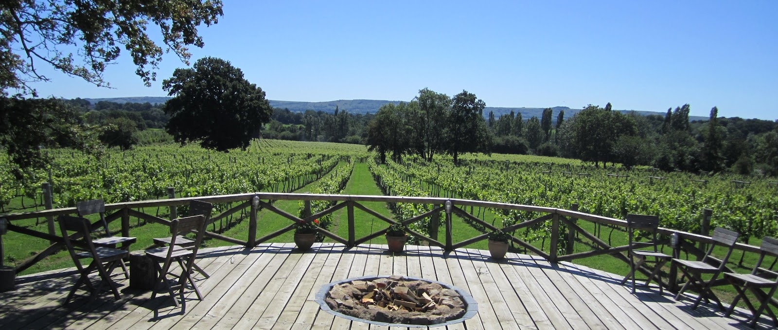 Nutbourne Vineyards photo 1