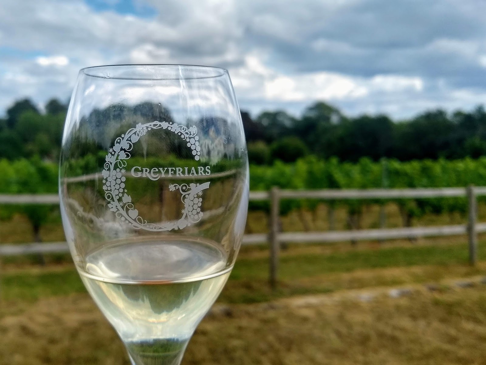 Greyfriars Vineyard photo 2