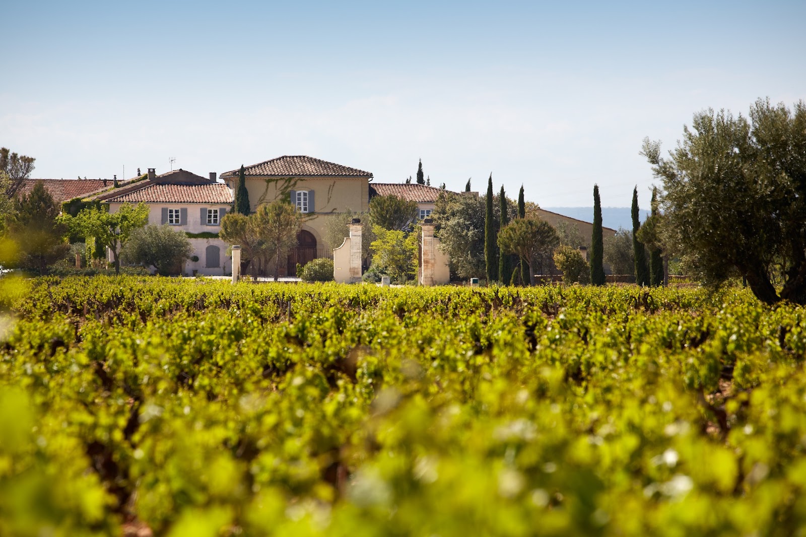 Château de Beaucastel photo 1
