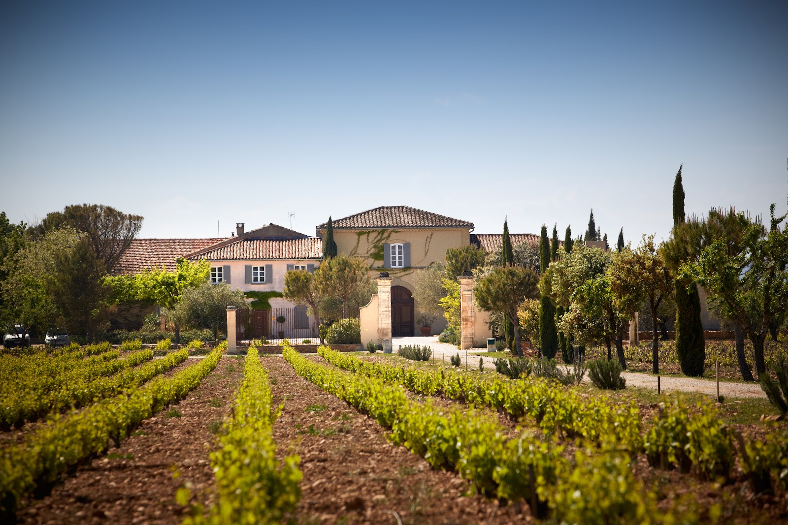 Château de Beaucastel photo 2