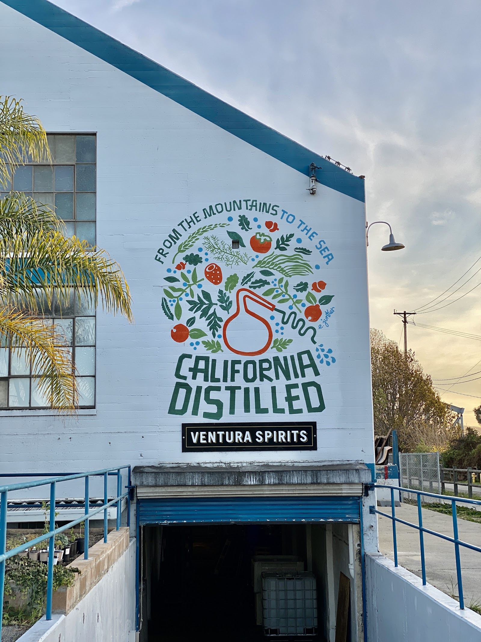 Ventura Spirits photo 2