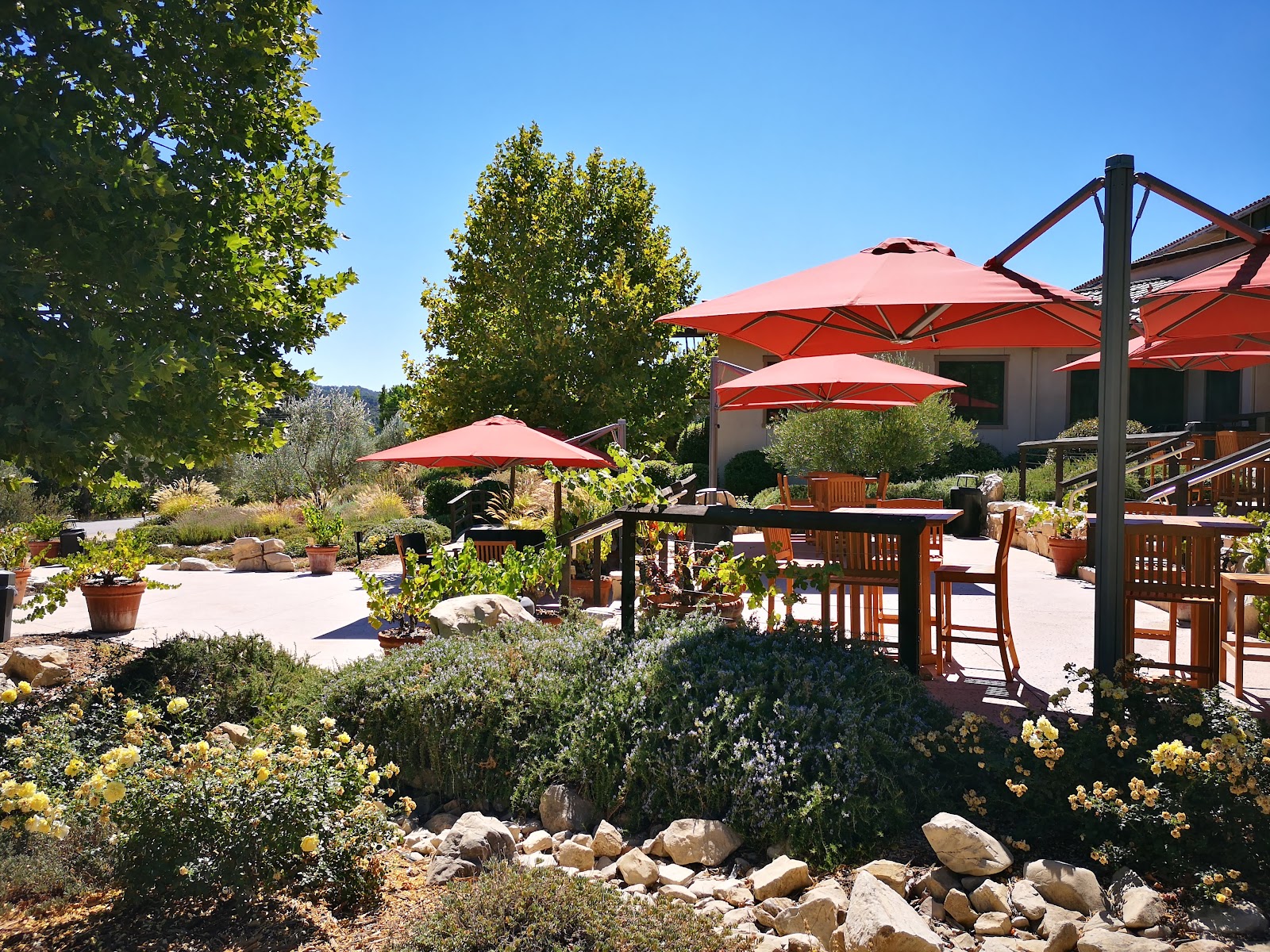 Tablas Creek Vineyard photo 2