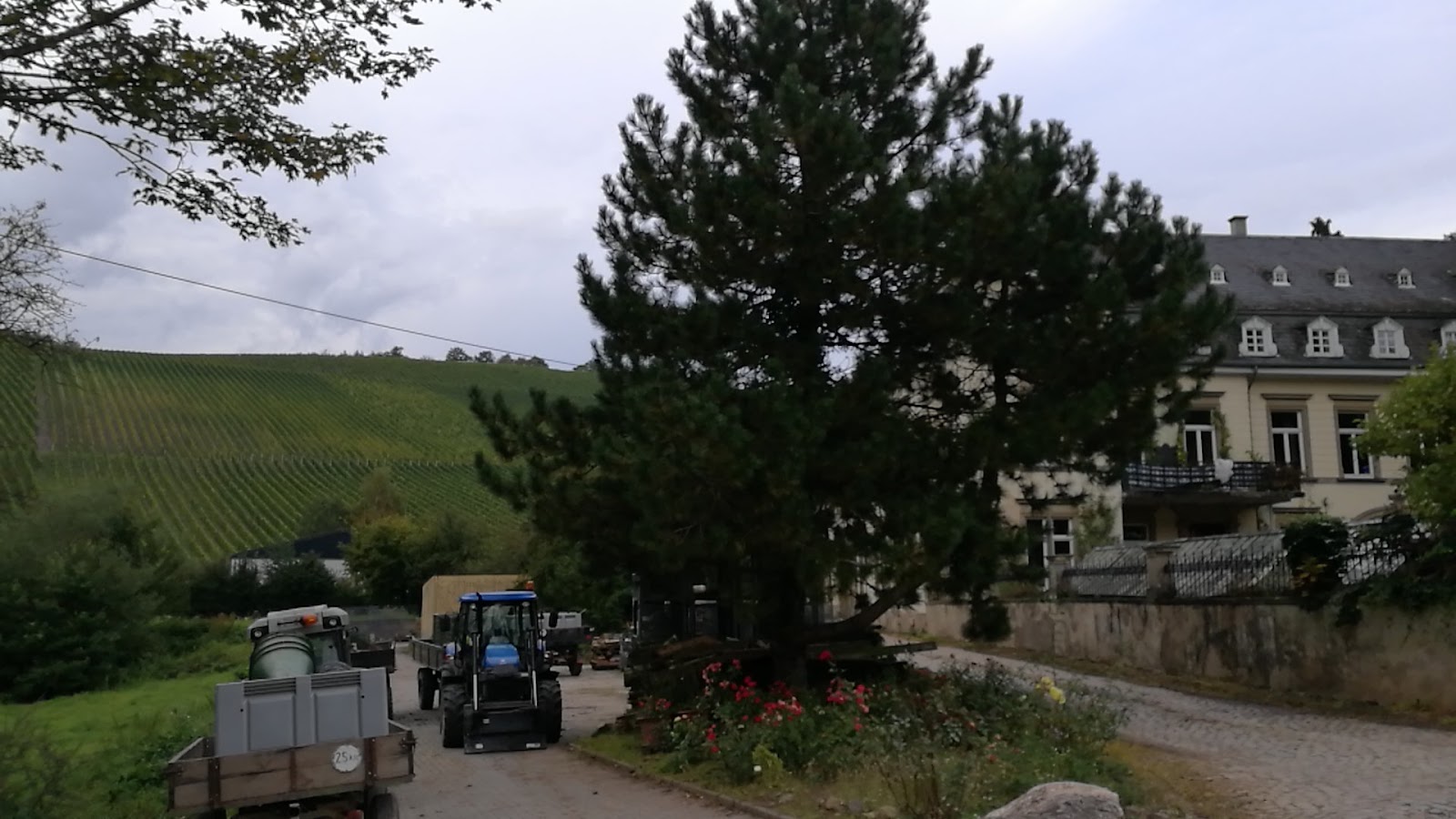 Weingut Egon Müller photo 3