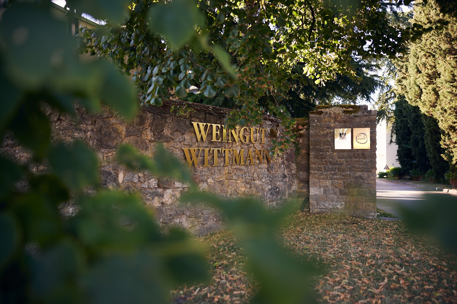 Weingut Wittmann photo 2