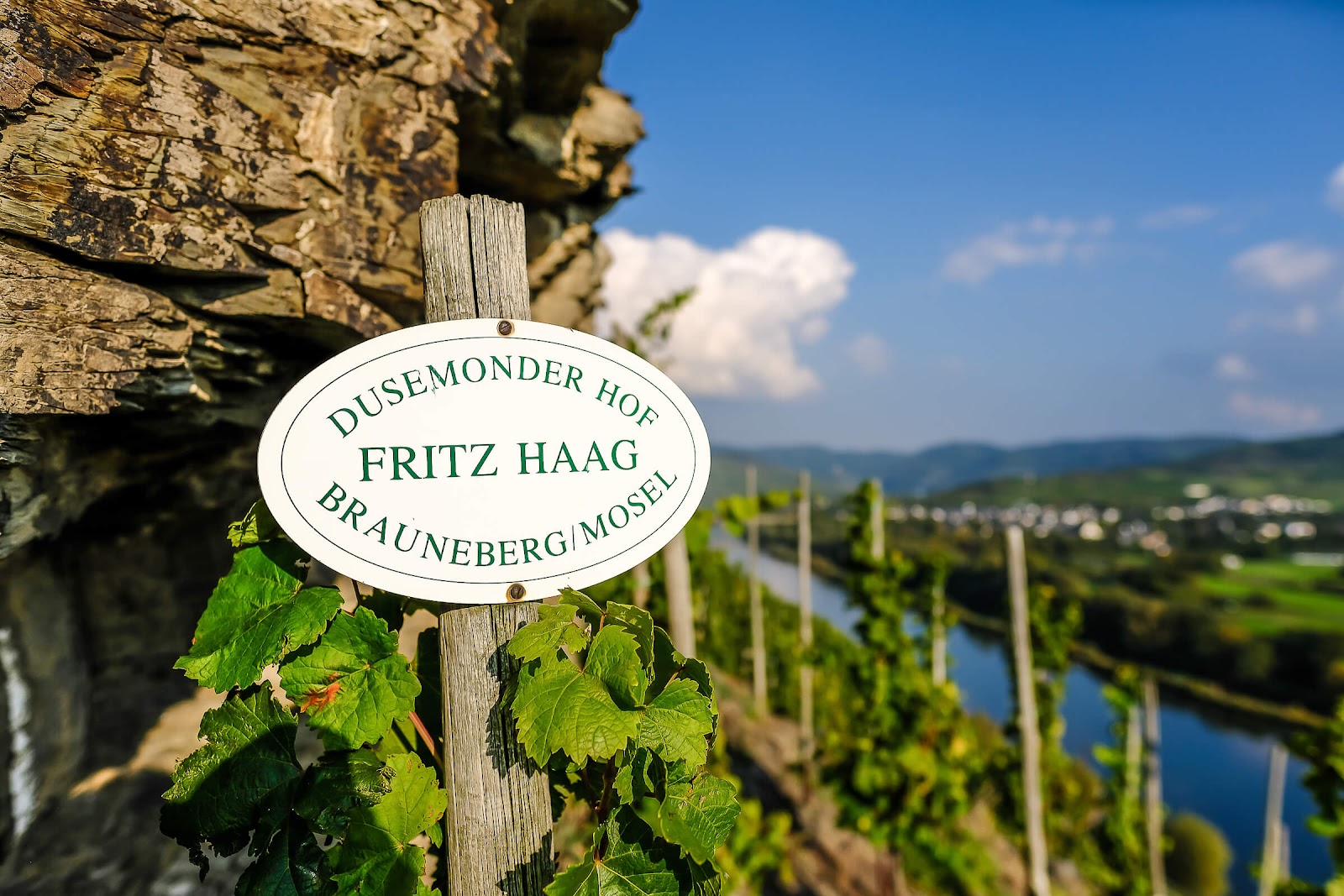 Weingut Fritz Haag photo 1