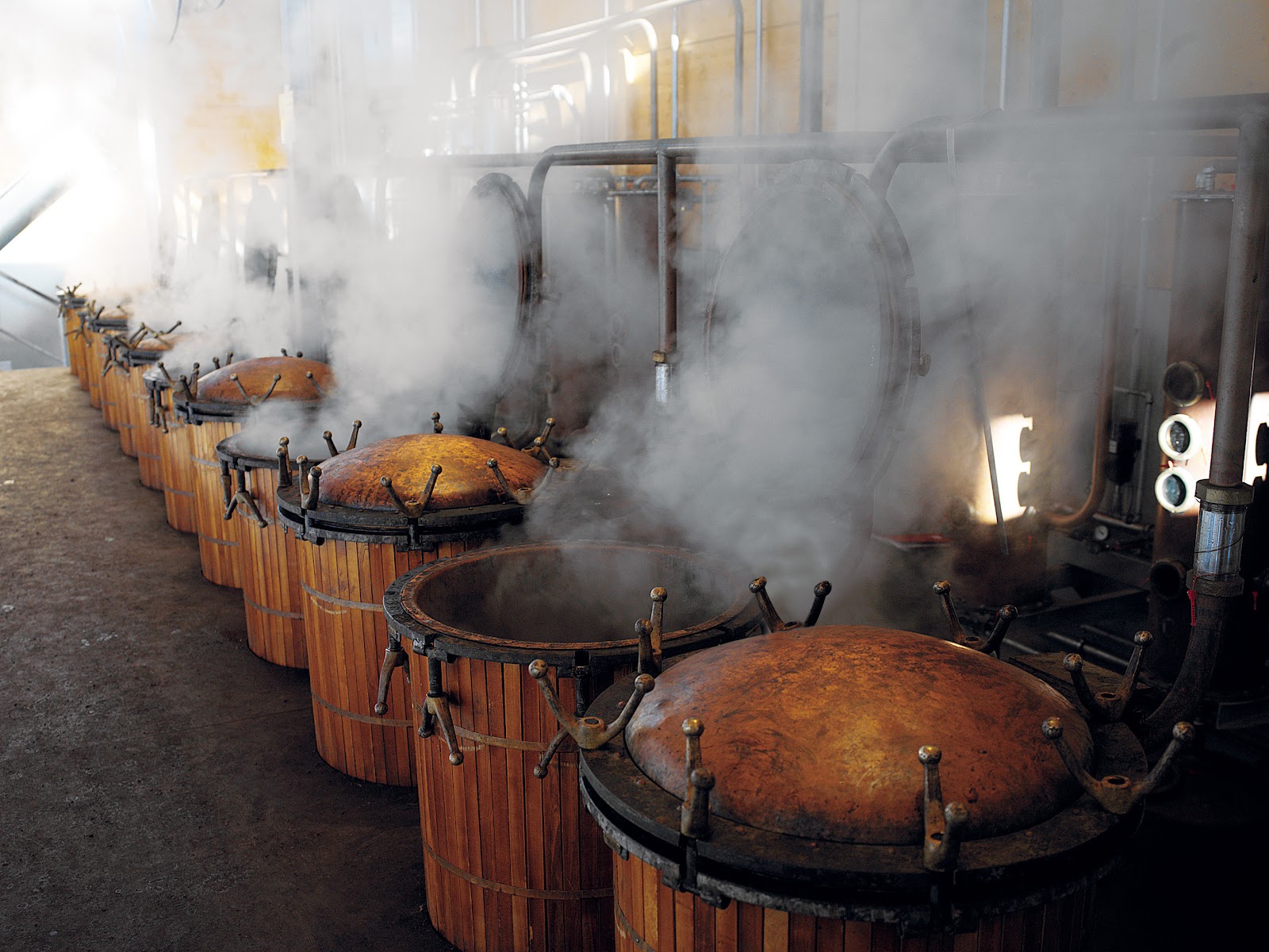 Nonino Distillatori photo 2