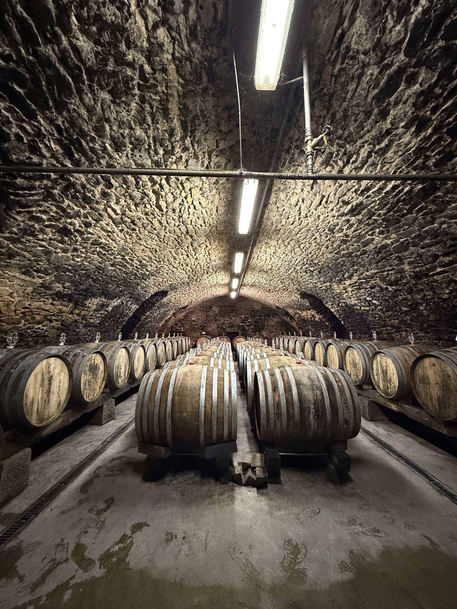 Weingut Reichsrat von Buhl photo 3