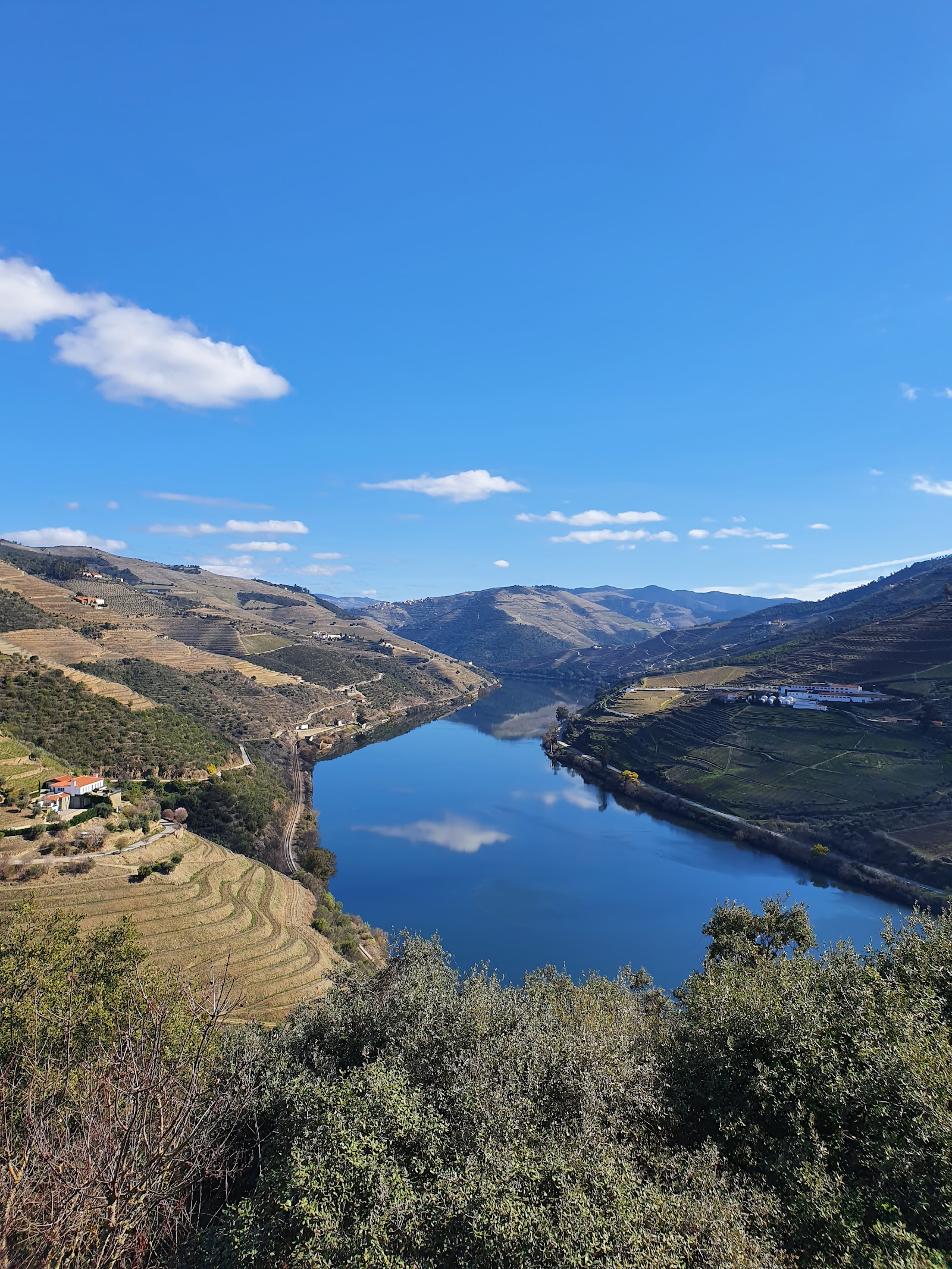 Quinta do Crasto photo 2