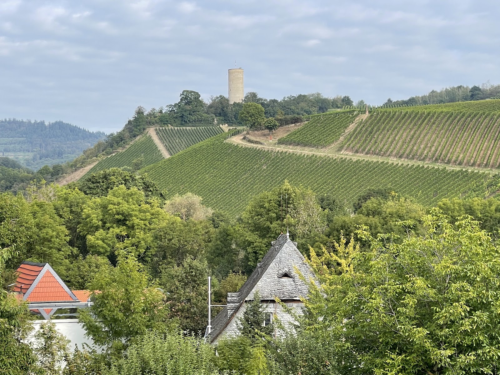 Weingut Robert Weil photo 3