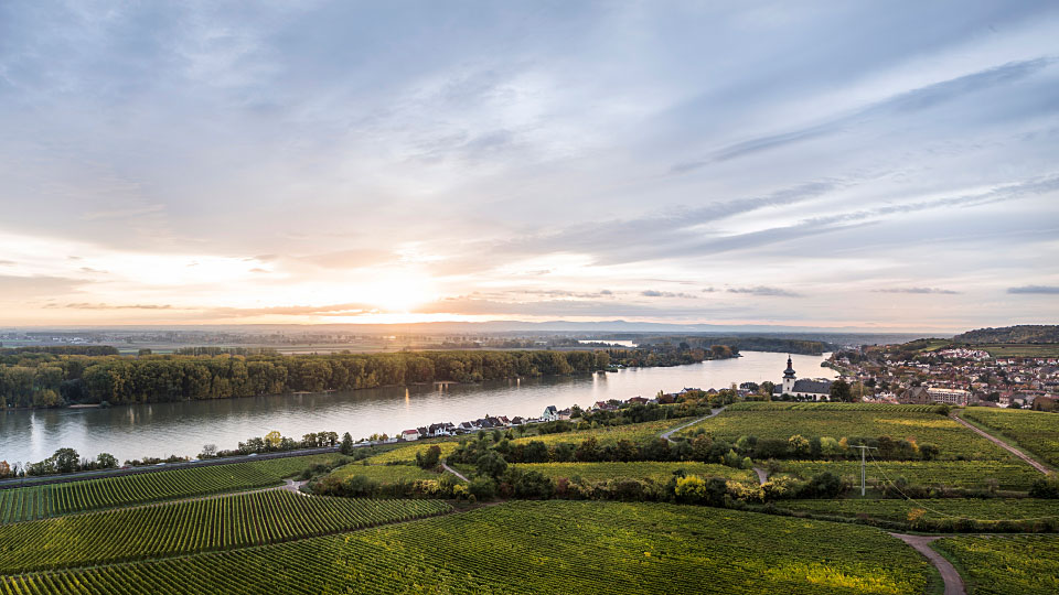 Weingut St. Antony photo 1