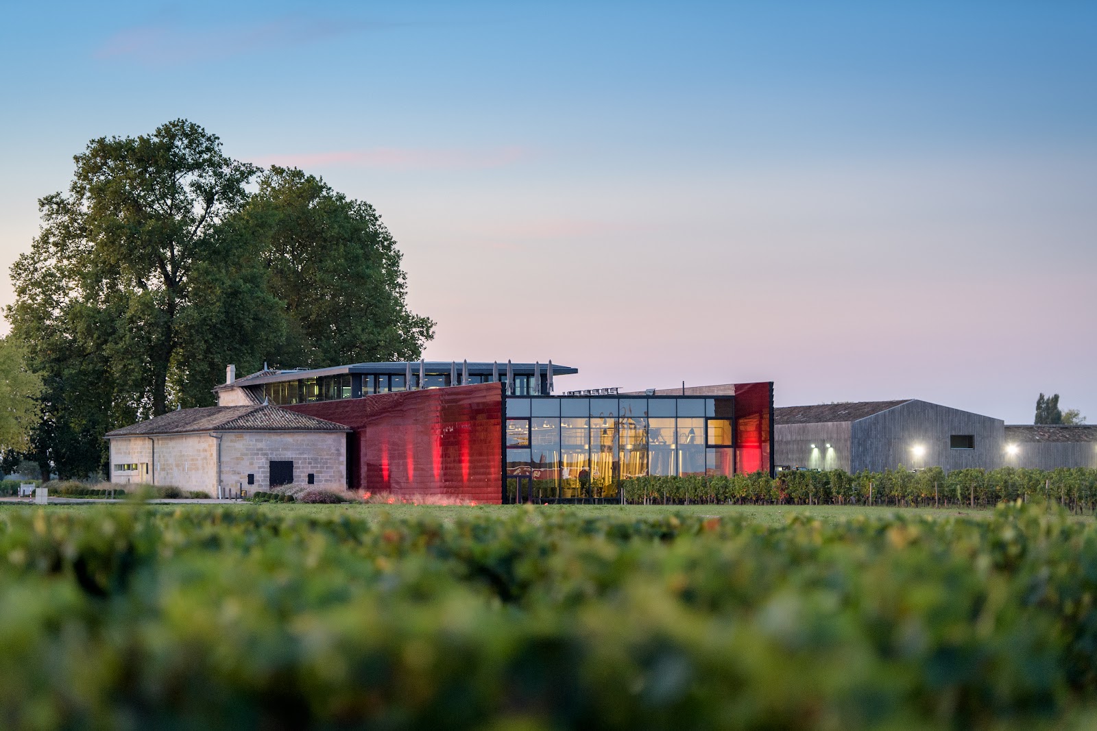 Château La Dominique photo 1