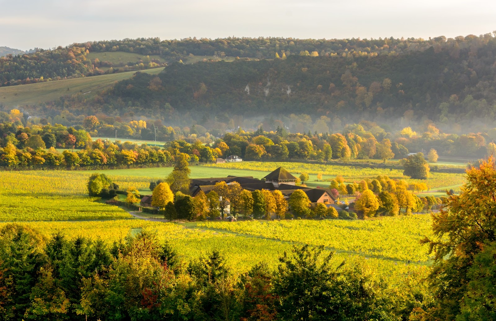 Denbies Wine Estate photo 1