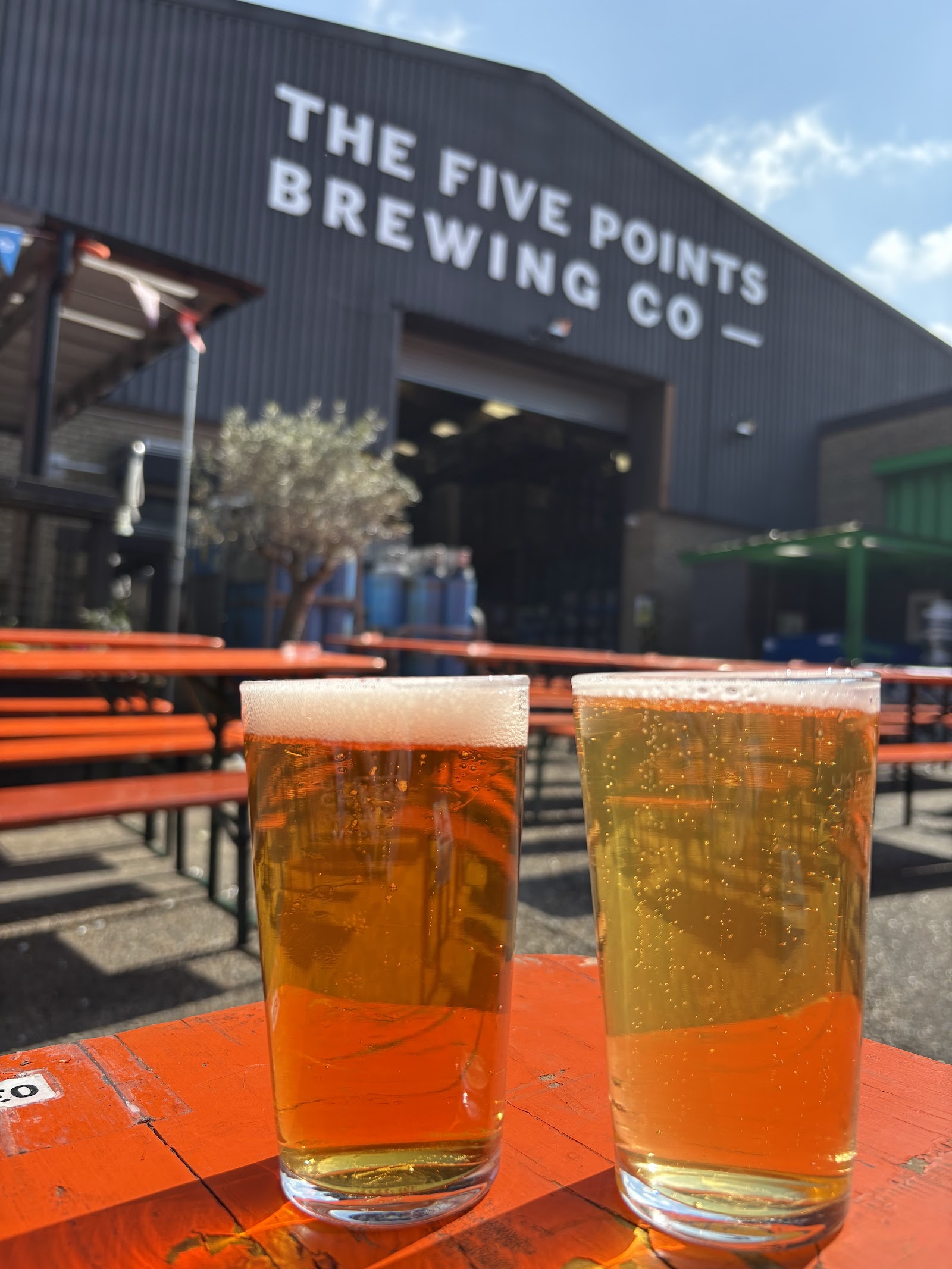 The Five Points Taproom & Courtyard photo 2
