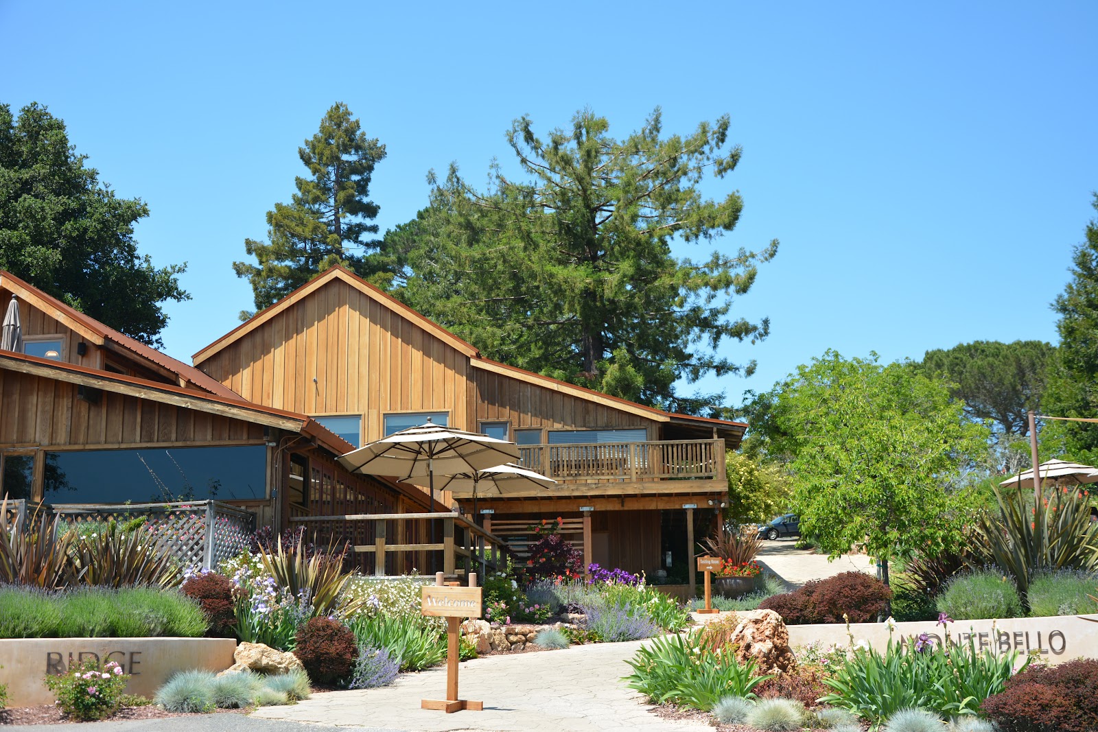 Ridge Vineyards Monte Bello photo 1