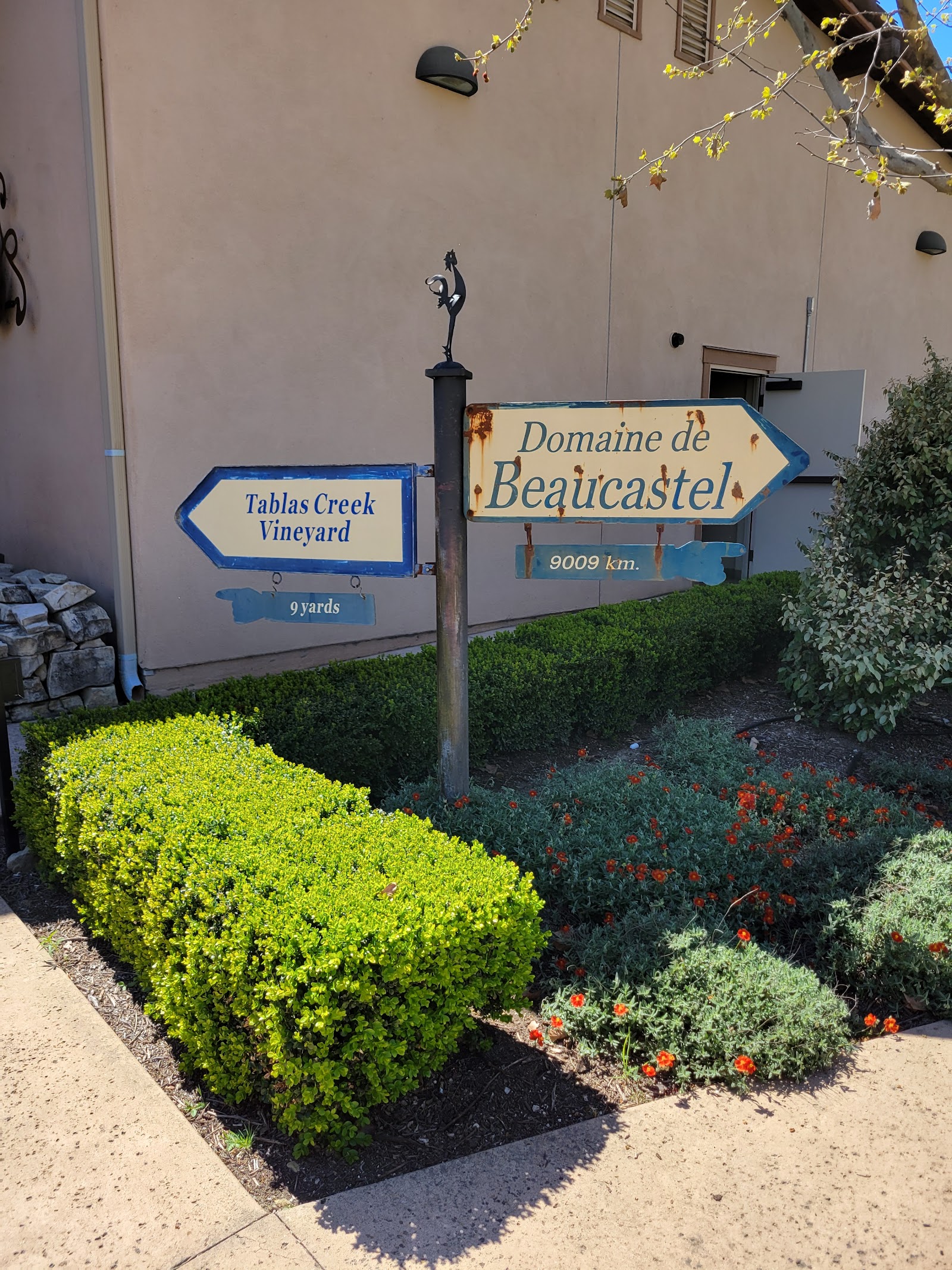 Tablas Creek Vineyard photo 3