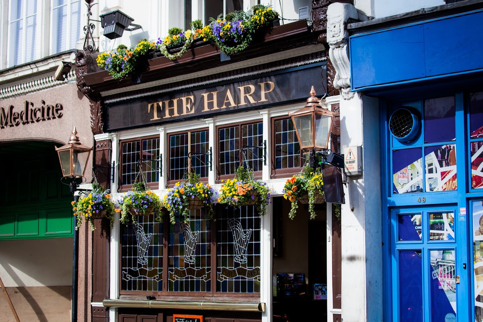 The Harp, Covent Garden photo 1