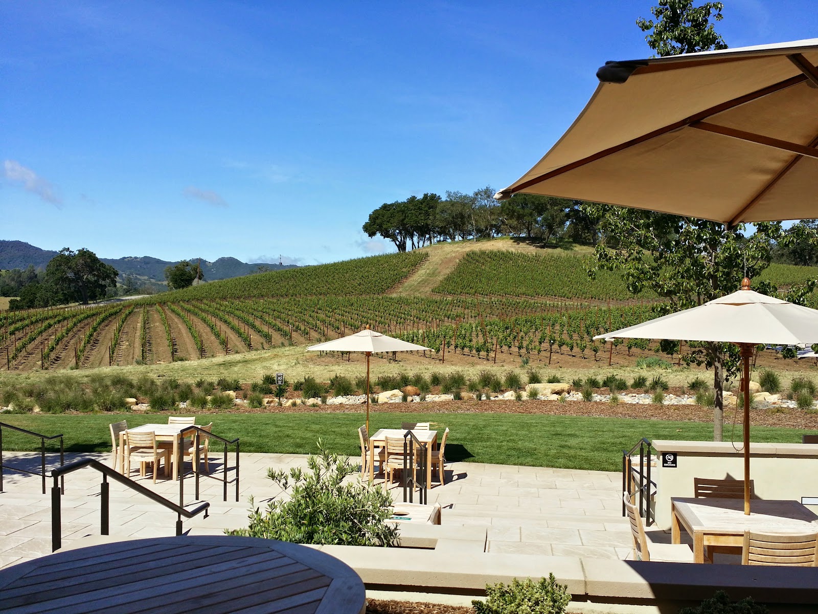 Justin Vineyards & Winery photo 3