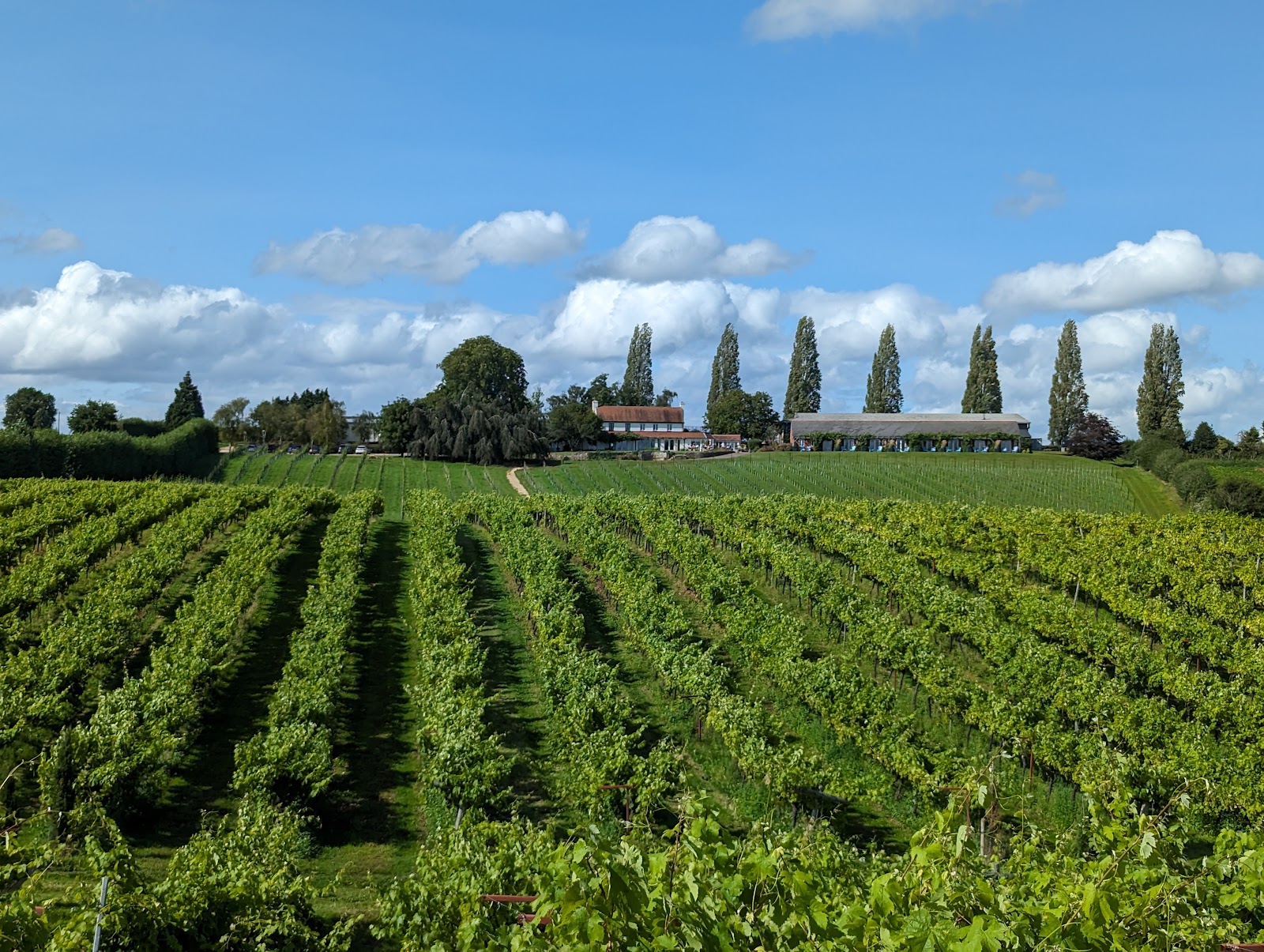 Three Choirs Vineyards photo 2