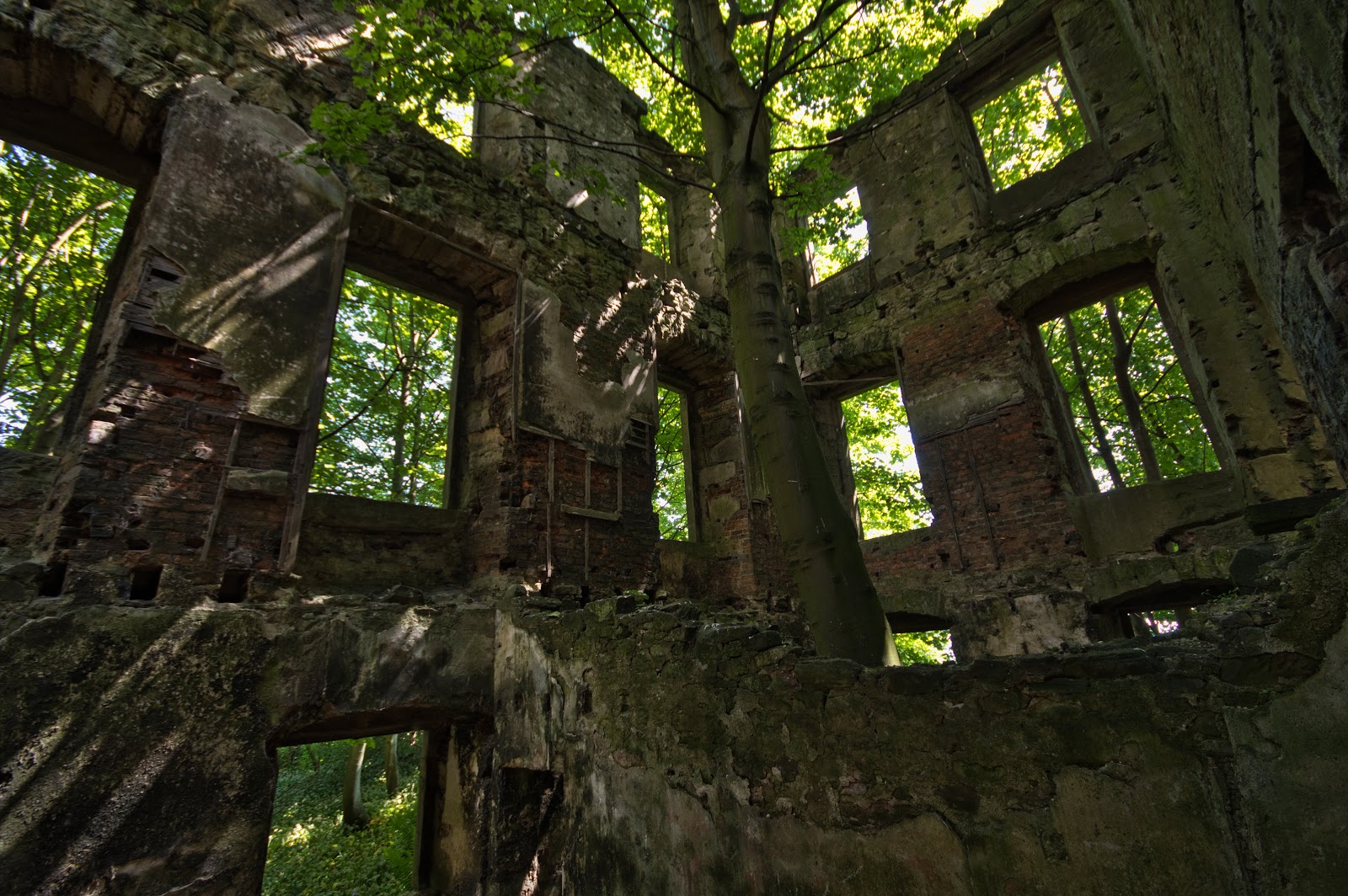 Château Largo photo 3