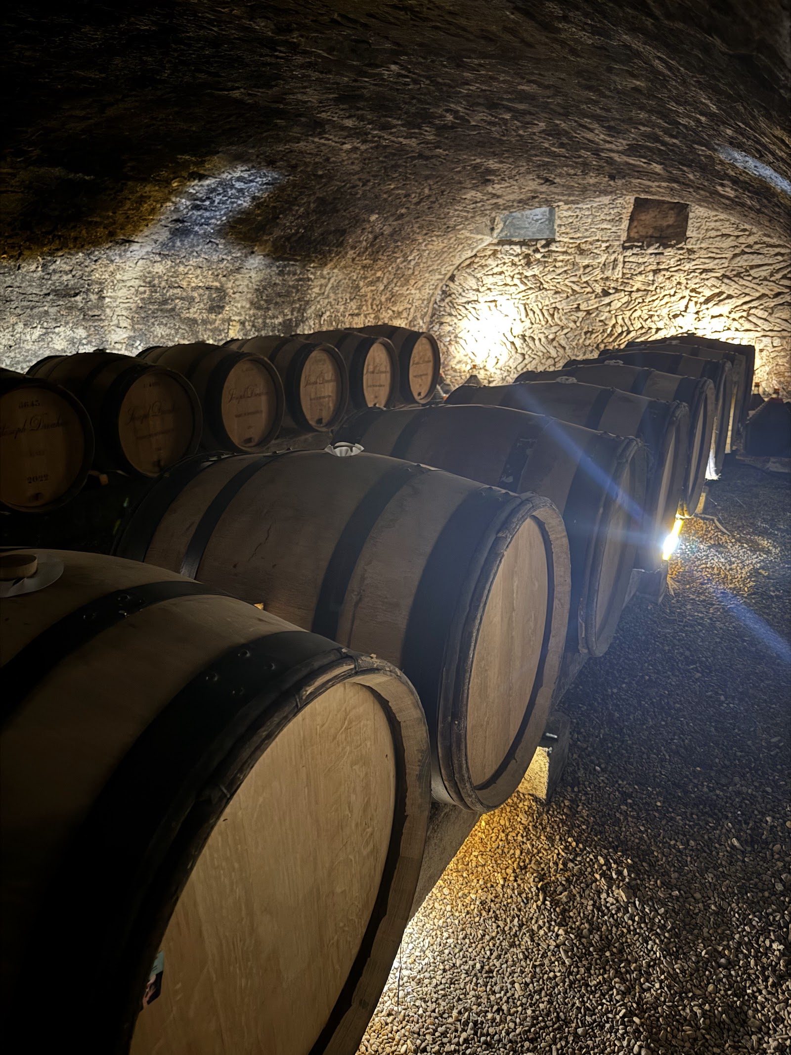 Maison Joseph Drouhin photo 3