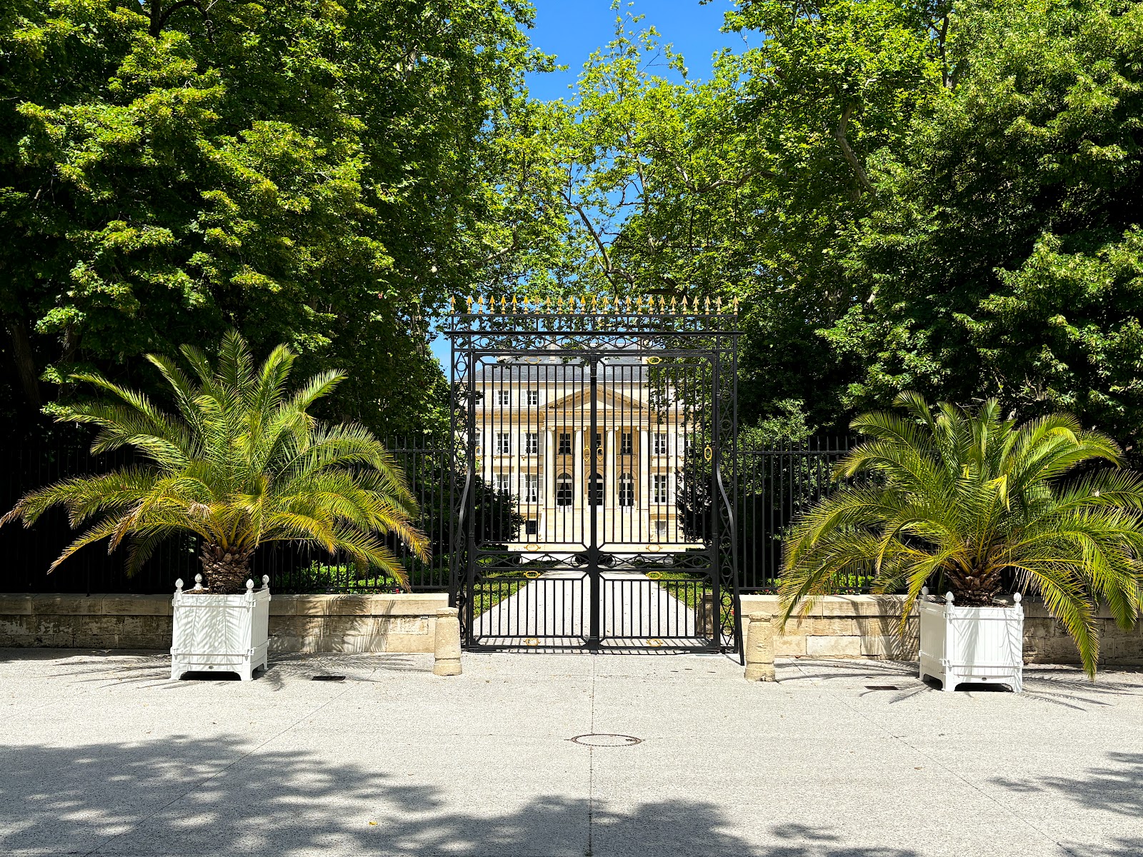Château Margaux photo 3