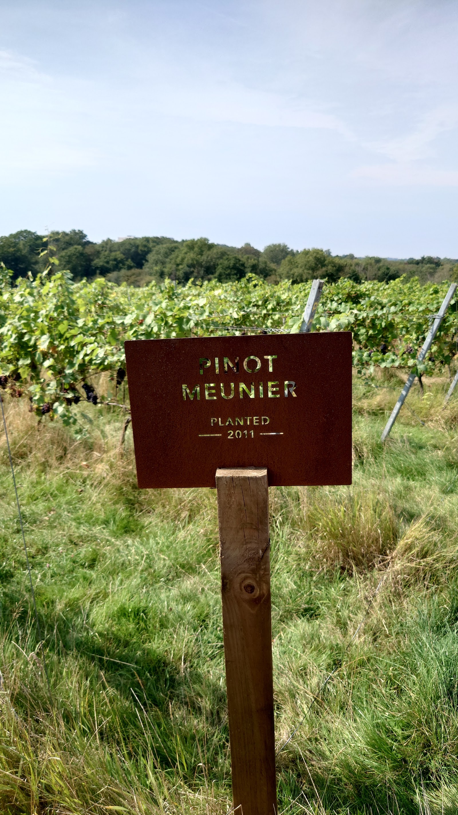 Forty Hall Vineyard photo 2