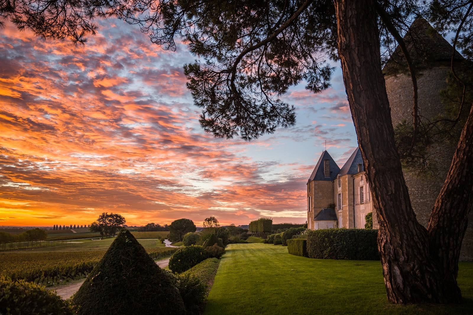 Château d'Yquem photo 1
