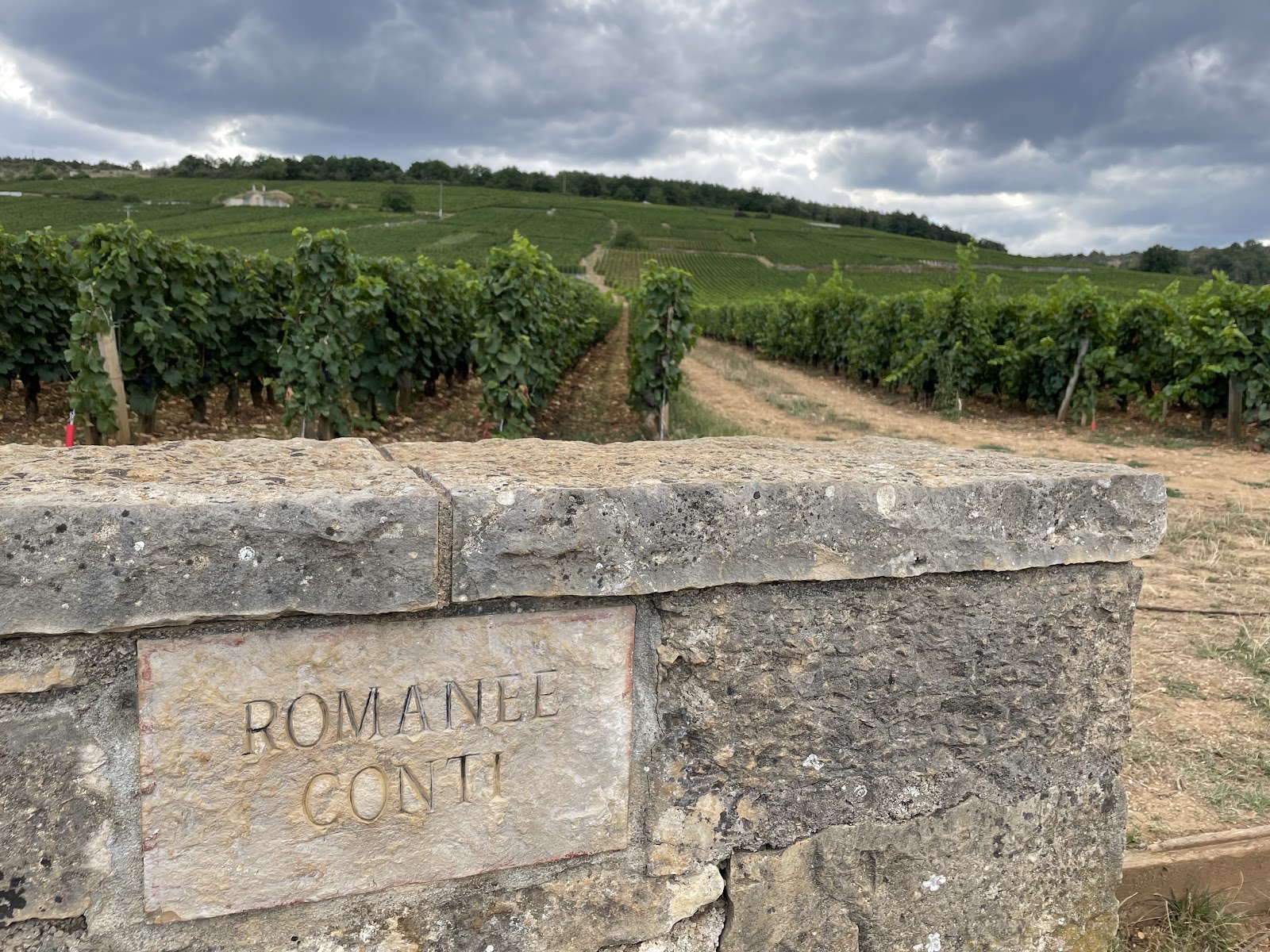 Domaine de la Romanée-Conti photo 3
