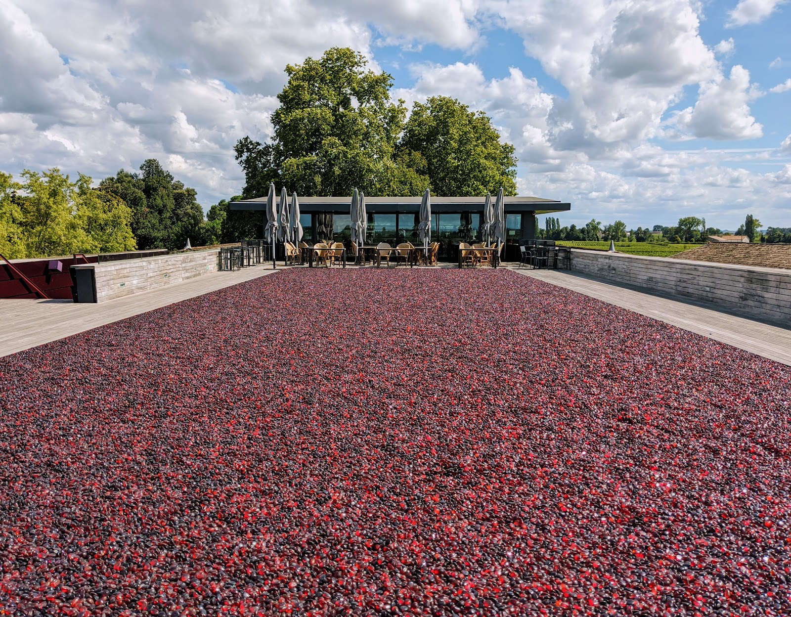 Château La Dominique photo 3