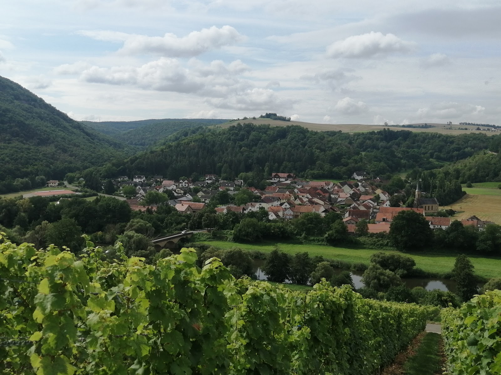 Weingut Dönnhoff photo 3