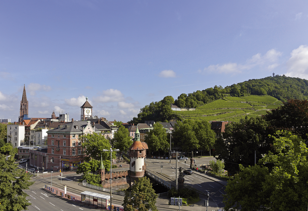 Weingut Staatsweingut Freiburg photo 1