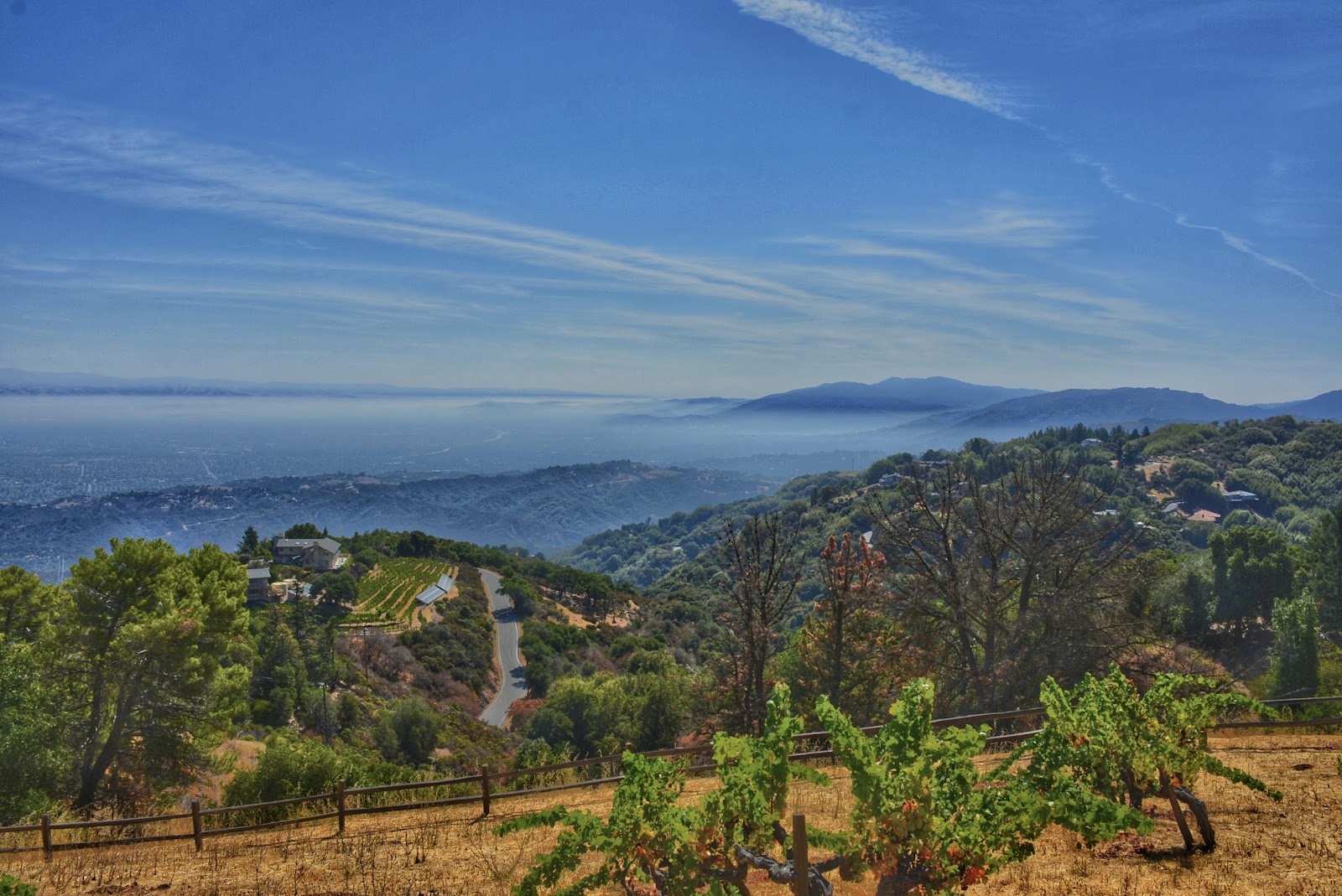 Ridge Vineyards Monte Bello photo 3