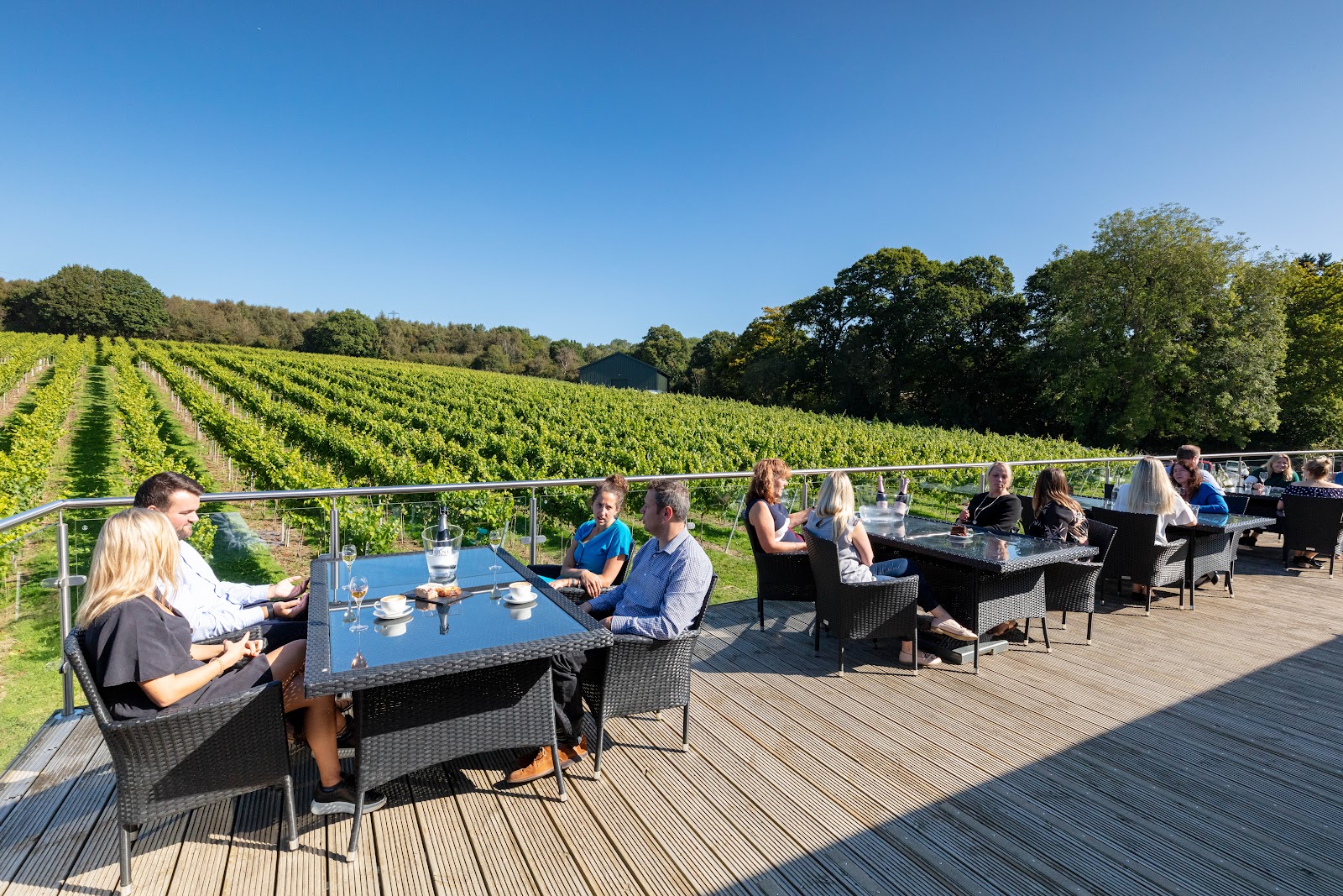 Bolney Wine Estate photo 3