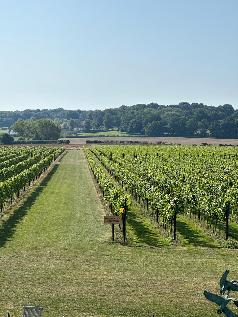 Balfour Winery photo 2