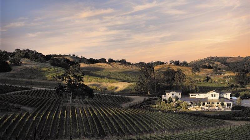 Justin Vineyards & Winery photo 1