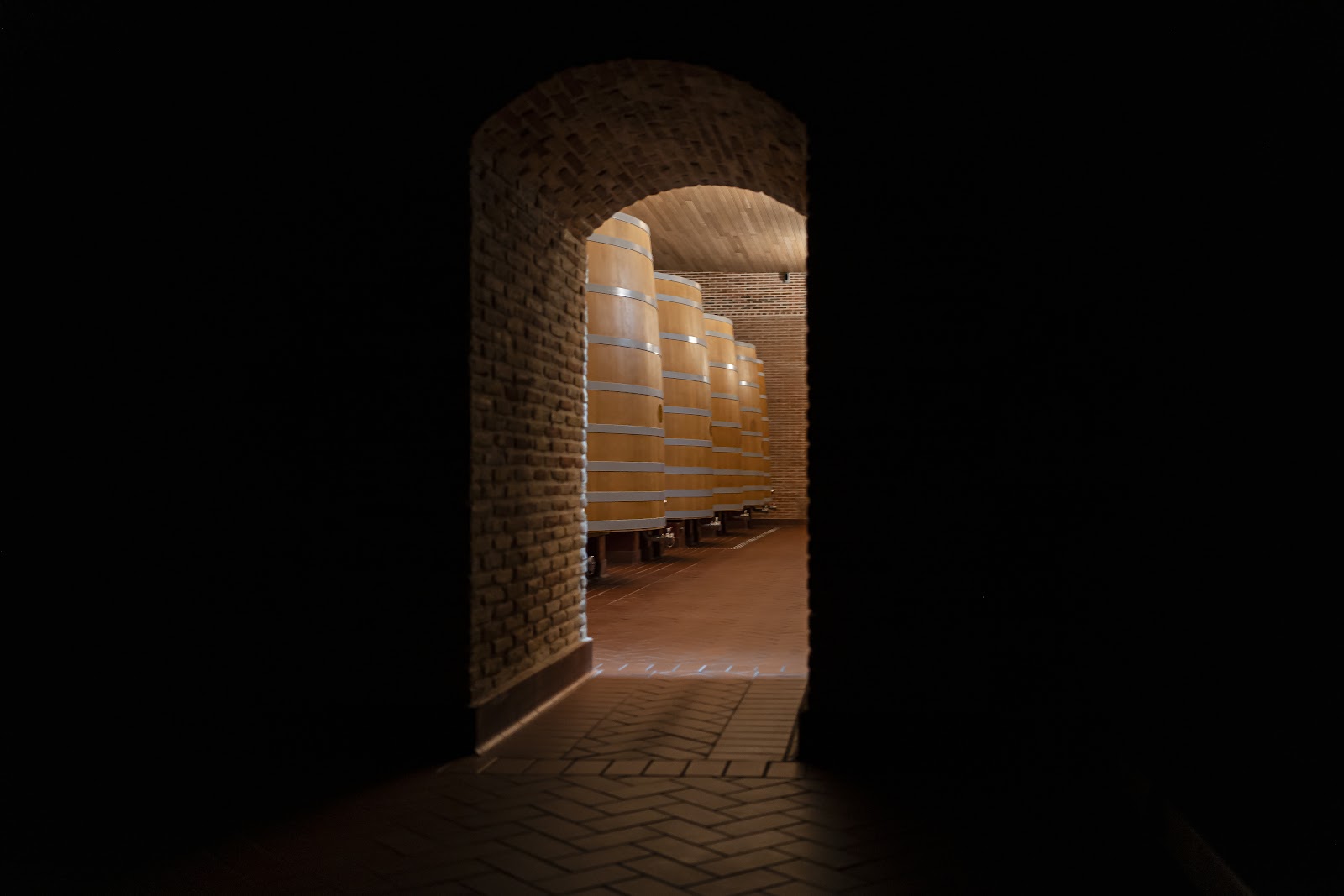 Vega Sicilia photo 1