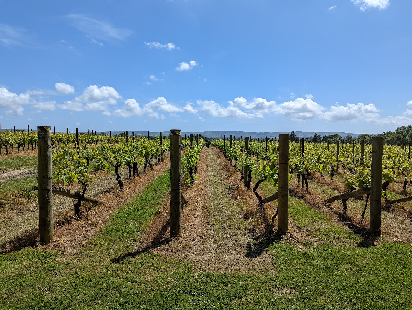 Nyetimber photo 2