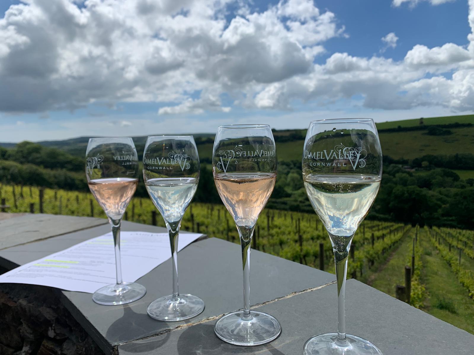 Camel Valley Vineyard photo 3