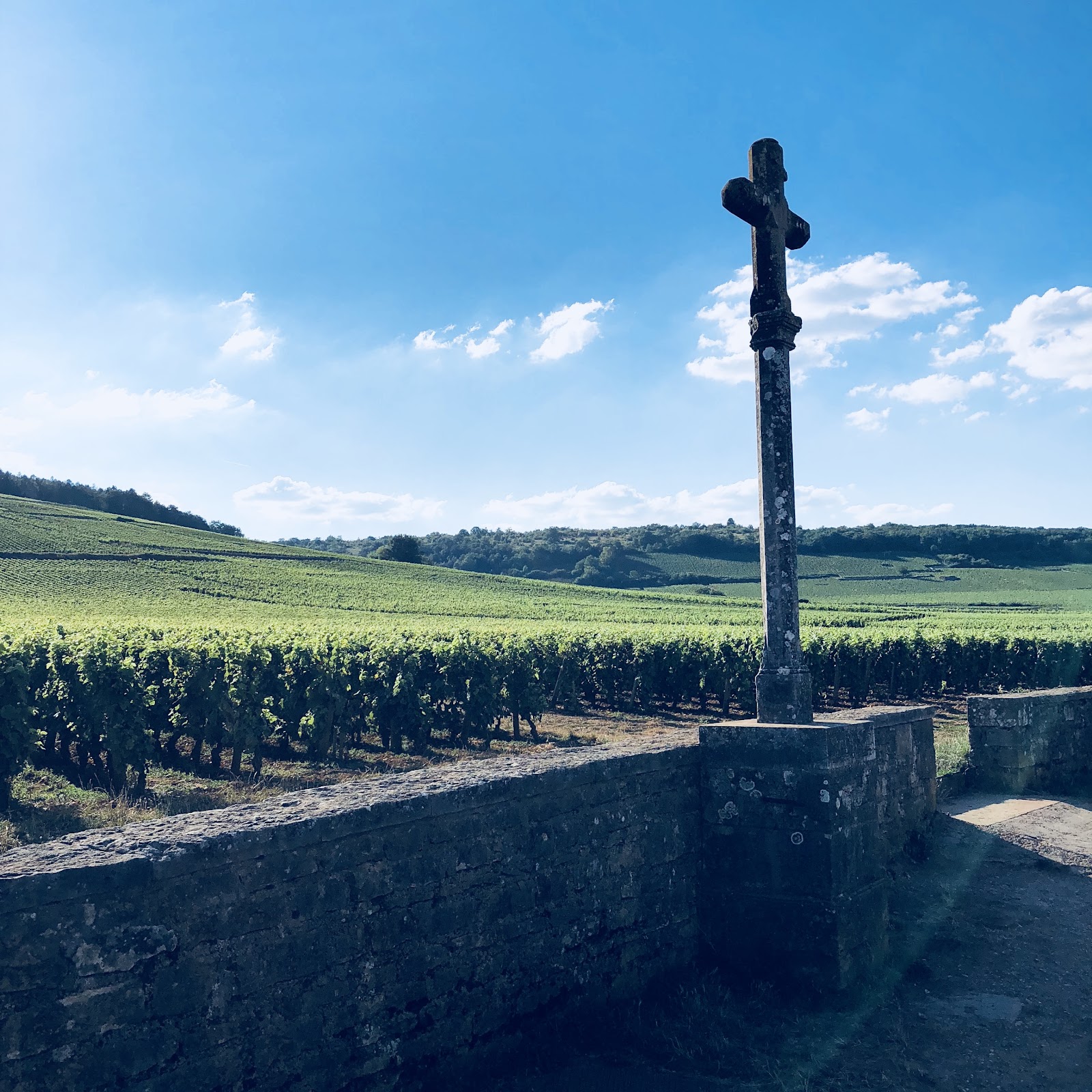 Domaine de la Romanée-Conti photo 1