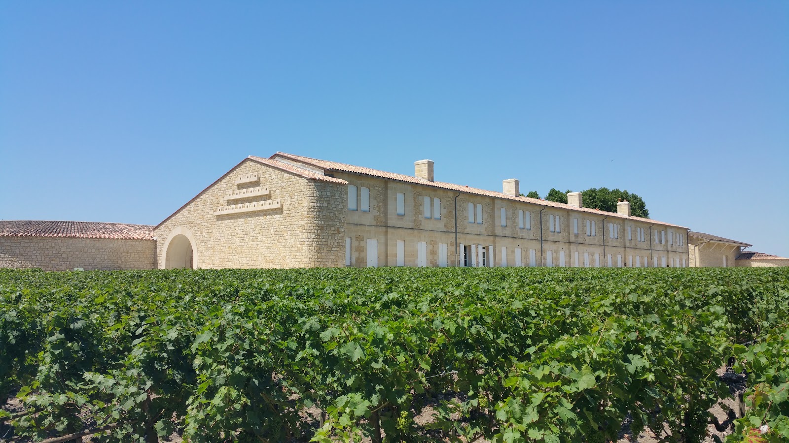 Château Mouton Rothschild photo 2