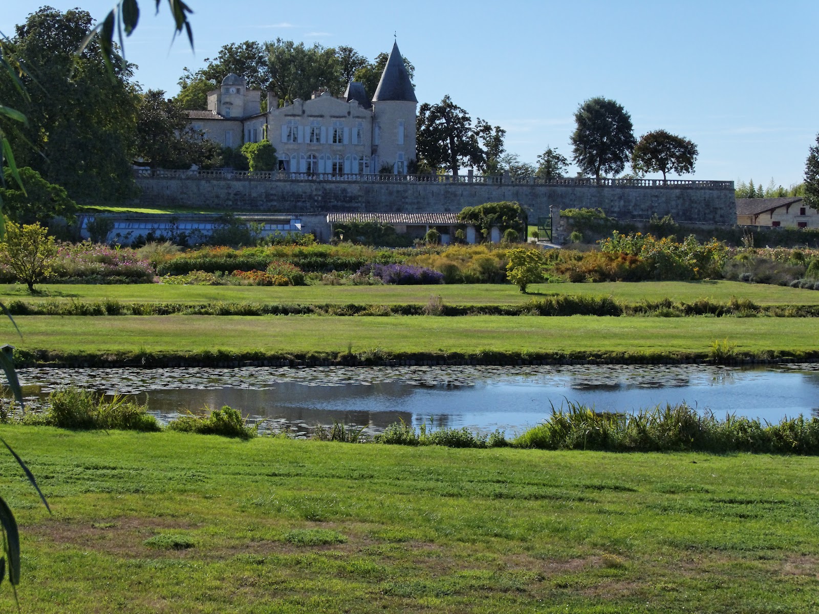 Château Lafite Rothschild photo 2