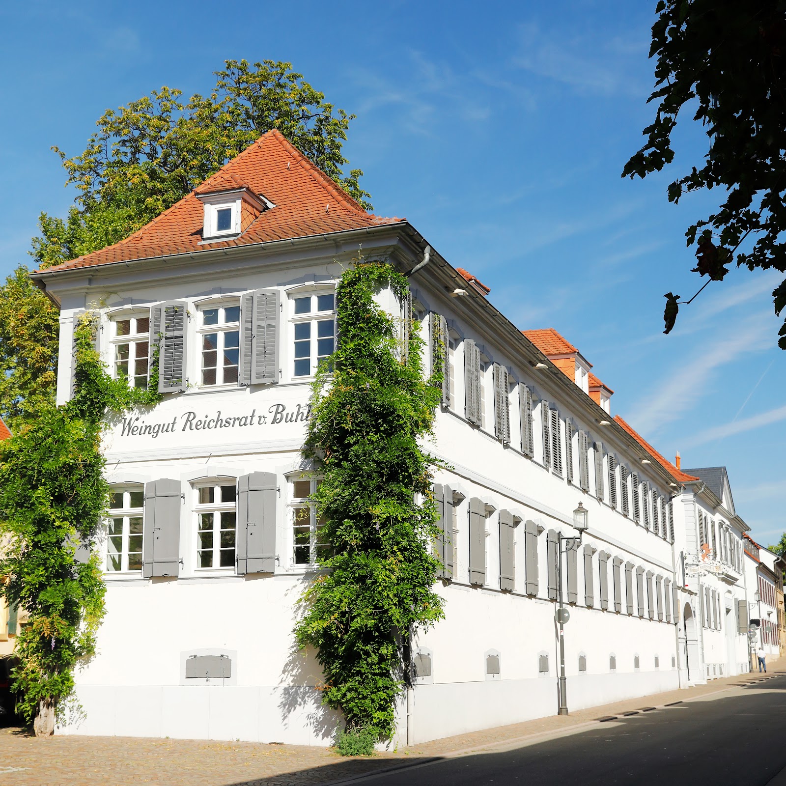 Weingut Reichsrat von Buhl photo 1