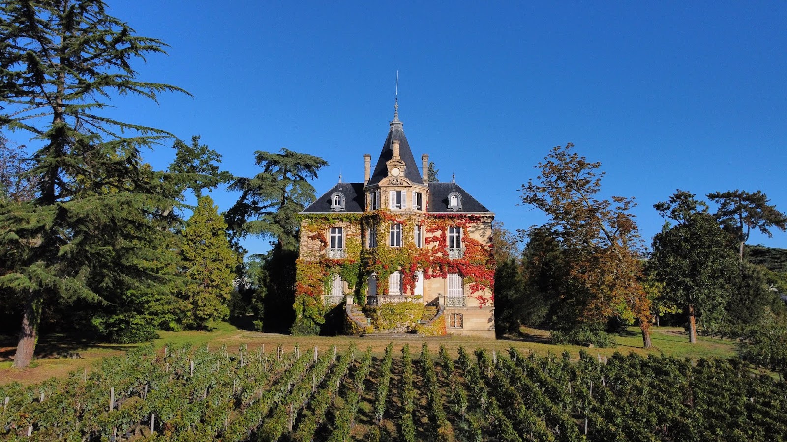 Château Les Carmes Haut-Brion photo 2