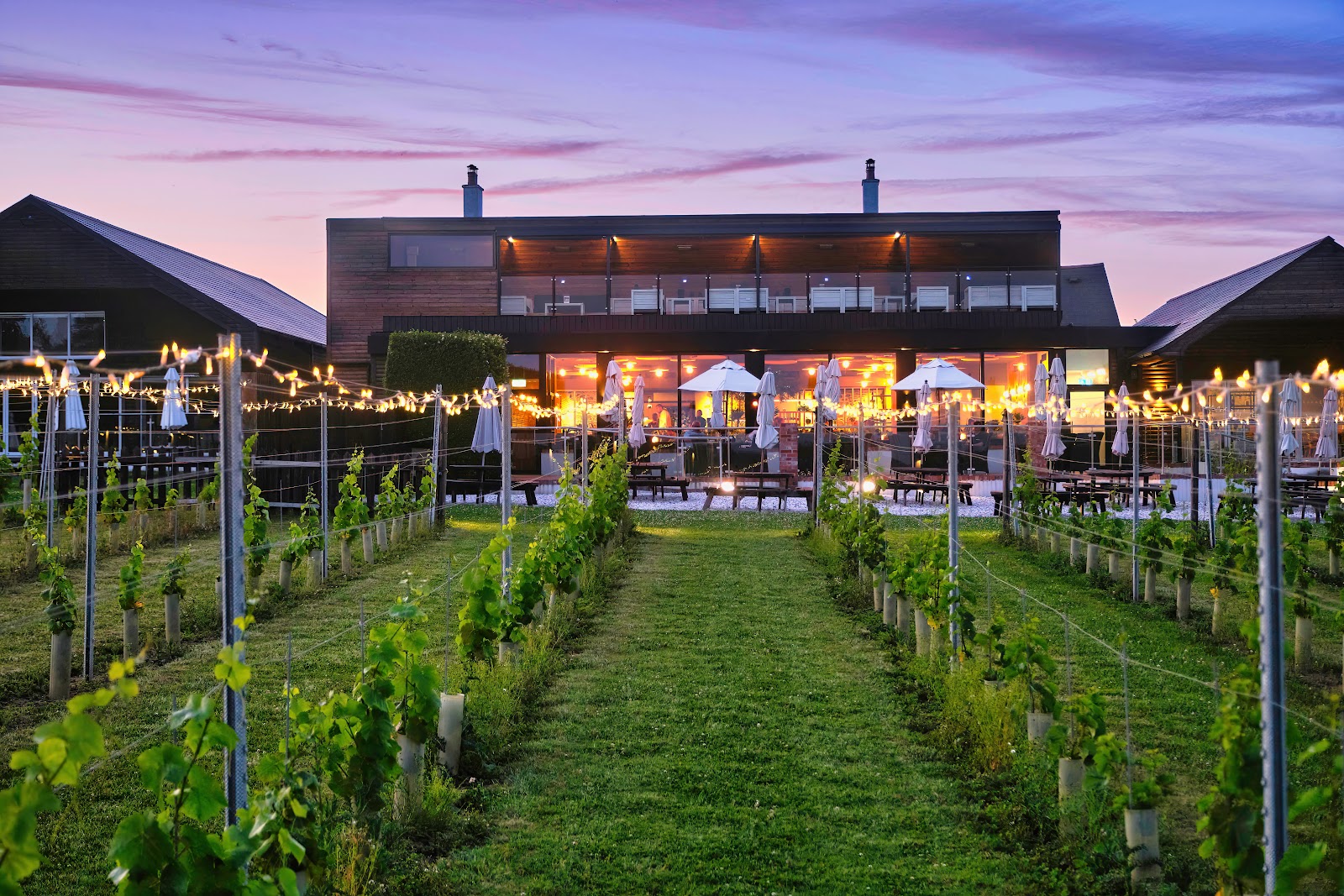 Llanerch Vineyard photo 1